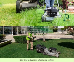 Dịch vụ cắt cỏ – cắt tỉa cây xanh nhà máy kcn long thành, đồng nai