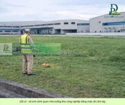 Dịch vụ cắt cỏ, dọn dẹp cảnh quan công ty, nhà xưởng tại đồng nai
