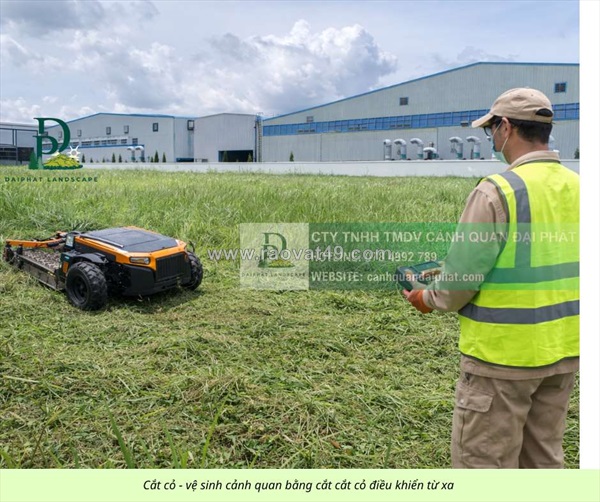 Dịch vụ cắt cỏ, dọn dẹp cảnh quan công ty, nhà xưởng tại đồng nai