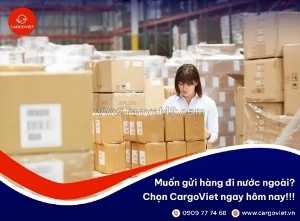 Dịch vụ gửi hàng cargoviet - hành trình nhẹ nhàng chuyên nghiệp