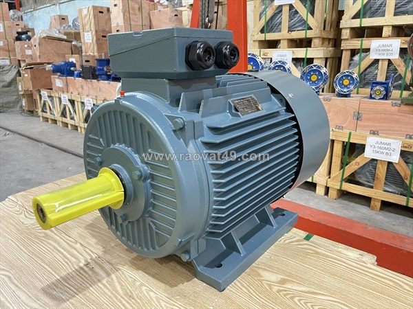 Động cơ điện 3 pha chính hãng - giải pháp vận hành bền bỉ cho nhà xưởng | hà thanh motor