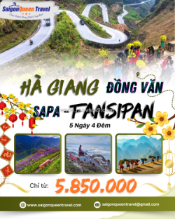 Du lịch đà lạt tết 2026: trải nghiệm xuân se lạnh, hoa nở khắp phố núi