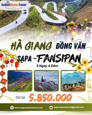 Du lịch đà lạt tết 2026: trải nghiệm xuân se lạnh, hoa nở khắp phố núi