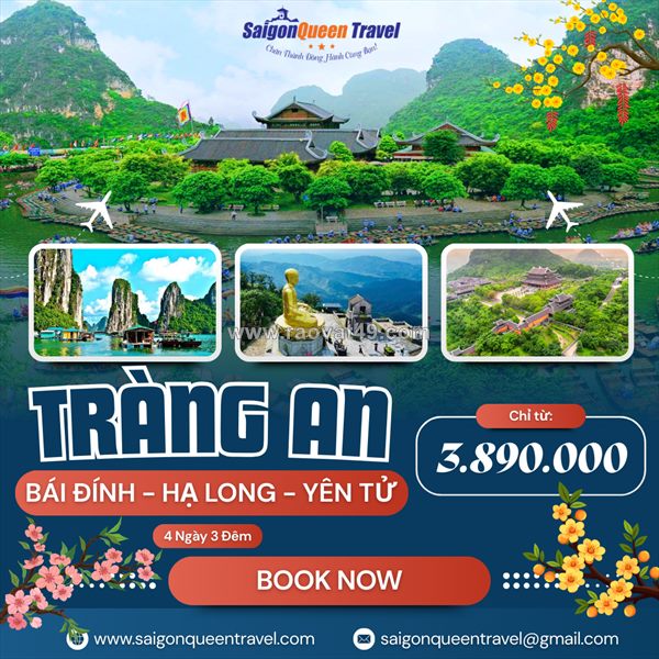 Du lịch đà lạt tết 2026: trải nghiệm xuân se lạnh, hoa nở khắp phố núi