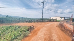 Gần 1,1 ha ( chỉ 11,5 tỷ ), hẻm ba cản, tân hội, đức trọng cũ, lâm đồng