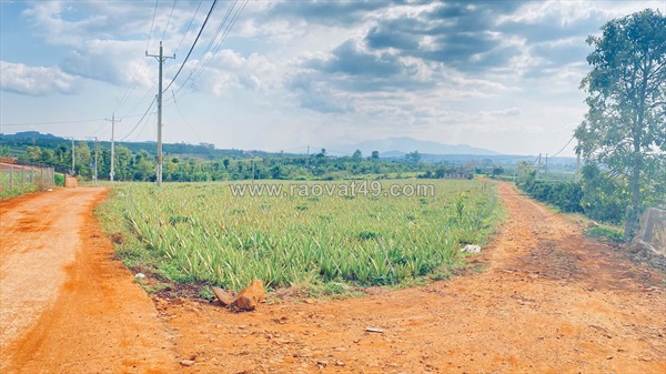 Gần 1,1 ha ( chỉ 11,5 tỷ ), hẻm ba cản, tân hội, đức trọng cũ, lâm đồng