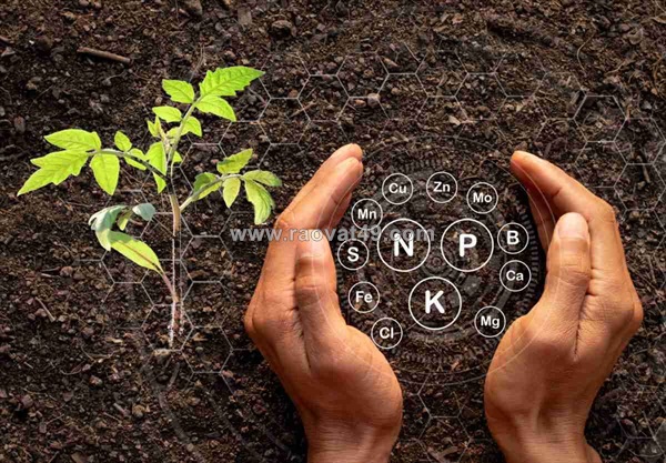 Giải mã cách phân loại phân bón hữu cơ sinh học dành cho người mới bắt đầu