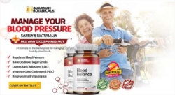 Guardian blood balance israel: תוסף תזונה בטוח ועוצמתי ב-100%