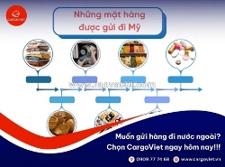 Gửi hàng tại cargoviet - dịch vụ tư vấn chuyên nghiệp và tận tâm