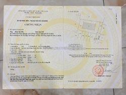 Hàng thơm hiếm – biệt thự 800m² trần văn mười – giá chỉ 10,5 tỷ