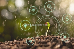 Làm chủ kỹ thuật phân bón hữu cơ sinh học cố định đạm: lộ trình tăng trưởng bền vững cho nhà nông