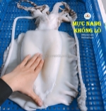 Mực nang làm sạch phù hợp với những món ăn nào?