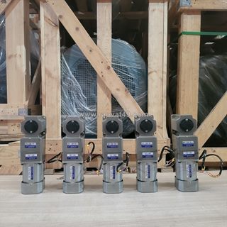 Nguồn sỉ & lẻ động cơ giảm tốc mini 6w-400w lõi đồng