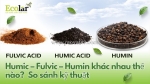 Phân biệt humic, fulvic và humin: chìa khóa kỹ thuật cho canh tác hiệu quả