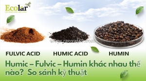 Phân biệt humic, fulvic và humin: chìa khóa kỹ thuật cho canh tác hiệu quả