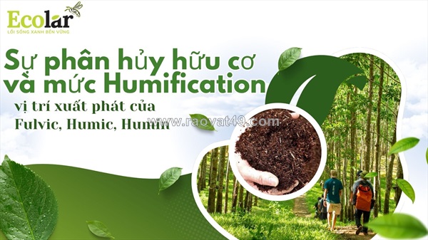 Phân biệt humic, fulvic và humin: chìa khóa kỹ thuật cho canh tác hiệu quả