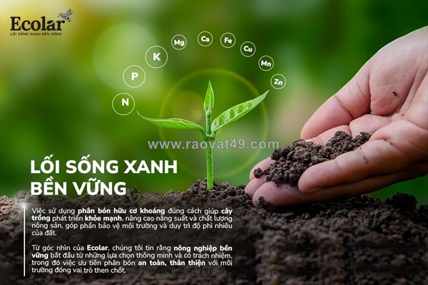 Phân bón hữu cơ khoáng: cẩm nang dinh dưỡng toàn diện cho người mới làm vườn