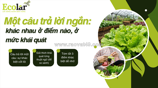 Phân hữu cơ khoáng và phân hữu cơ: sự khác biệt về tính ổn định và hiệu quả thực tế