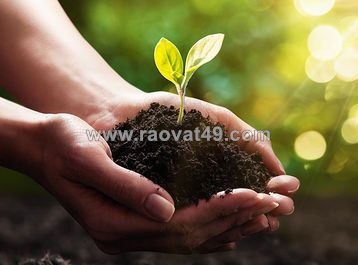 Phân tích lý do phân bón hữu cơ sinh học kém tác dụng dần và giải pháp triệt để
