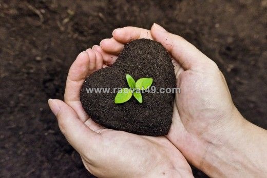 Phân tích lý do phân bón hữu cơ sinh học kém tác dụng dần và giải pháp triệt để