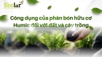 Phân tích toàn diện công dụng phân bón humic đối với đất và sức khỏe cây trồng