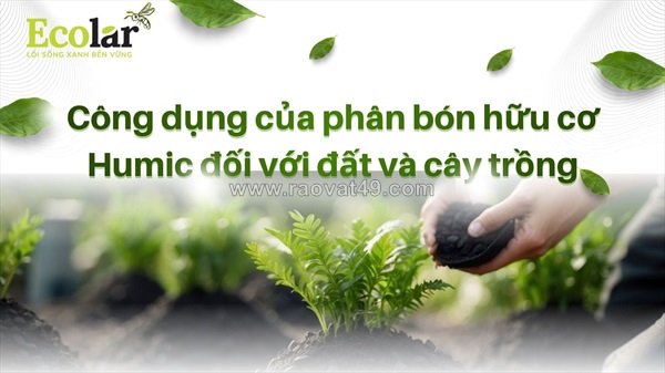 Phân tích toàn diện công dụng phân bón humic đối với đất và sức khỏe cây trồng