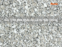 Quy trình xuất khẩu ốp lát đá hoa cương