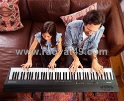 Roland go-88p – giải pháp tập piano tại nhà nhỏ gọn, tiện lợi
