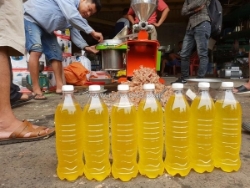 Tác dụng của dầu mè và cách dùng đúng cách