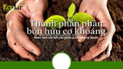 Thành phần phân bón hữu cơ khoáng: cẩm nang đọc hiểu chỉ số kỹ thuật cho người mới