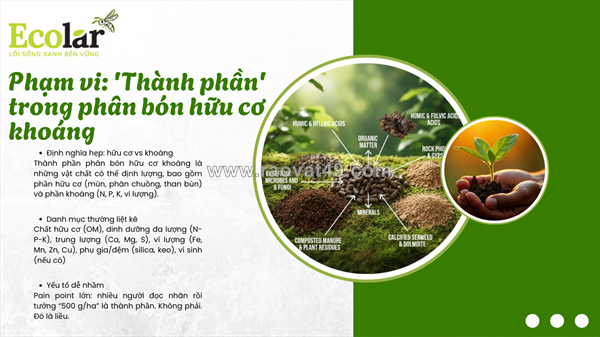 Thành phần phân bón hữu cơ khoáng: cẩm nang đọc hiểu chỉ số kỹ thuật cho người mới