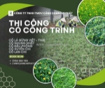 Thi công cỏ công trình chuyên nghiệp – đa dạng chủng loại, phủ xanh bền đẹp