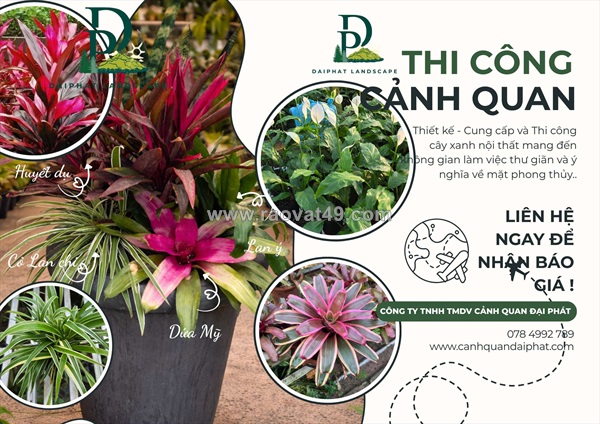 Thiết kế – thi công – bố trí cây văn phòng tại đồng nai | giải pháp tạo không gian làm việc xanh & chuyên nghiệp