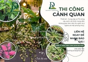 Thiết kế thi công cây xanh nội thất trang trí văn phòng, quán cafe