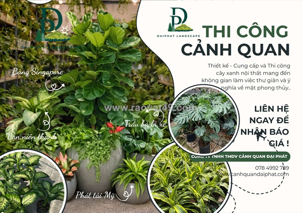 Thiết kế thi công cây xanh nội thất trang trí văn phòng, quán cafe