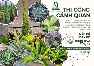 Thiết kế thi công tiểu cảnh sân vườn kiểng lá tphcm, đồng nai 2026