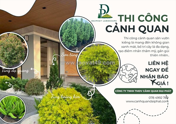 Thiết kế thi công tiểu cảnh sân vườn kiểng lá tphcm, đồng nai 2026