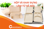 Thủ tục nhập khẩu hộp và khay đựng làm từ bã mía