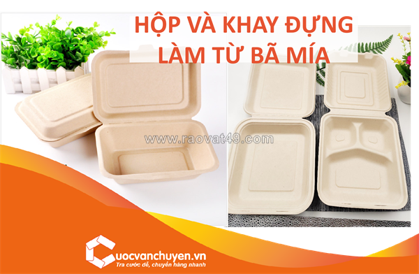 Thủ tục nhập khẩu hộp và khay đựng làm từ bã mía