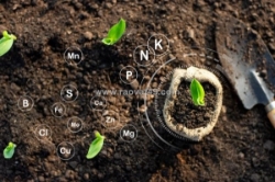 Tối ưu năng suất nhờ sự giao thoa giữa phân hữu cơ sinh học và môi trường đất