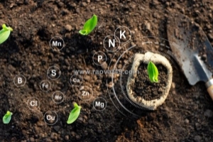 Tối ưu năng suất nhờ sự giao thoa giữa phân hữu cơ sinh học và môi trường đất