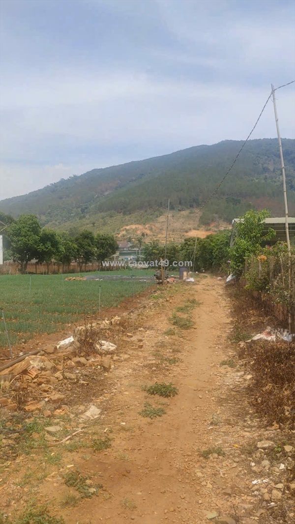 Tổng 4200m2 đất mặt tiền ql20, hiệp an đức trọng, lâm đồng