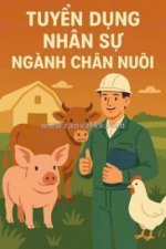 Tuyển 2 công nhân chăn nuôi vịt bao ăn ở làm tại bình thuận