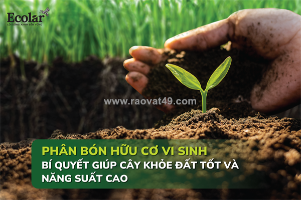 Vai trò của phân hữu cơ với đất và cây trồng: nền tảng cho canh tác bền vững