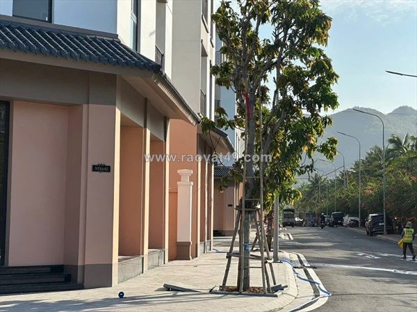 🌊 5 lý do nên chọn đầu tư vào vinhomes pearl bay ngay lúc này:
