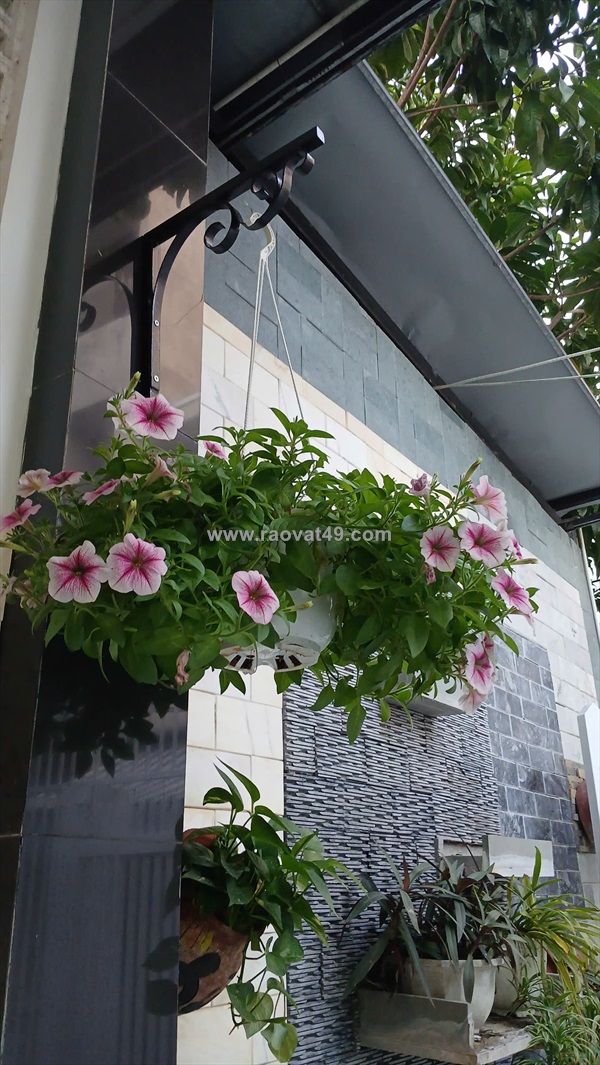 ♥ thẳng 20m ra mt trần xuân lê, 135m2, ngang 6m, vuông, c4 sạch đẹp sân rộng