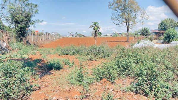 5.000m2, ôm 42m mặt tiền quốc lộ 20, gần ngay trung tâm đức trọng, lâm đồng