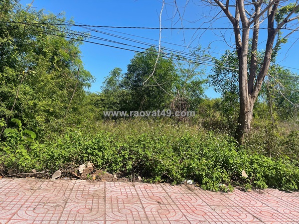 Bán 5.1 sào đất odt mặt tiền nguyễn du - lagi gần biển cam bình 3.3tr/m2