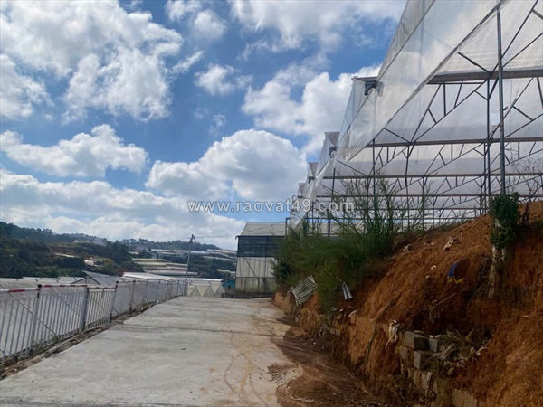 Bán đất đà lạt – phường 7 – đường lanbian