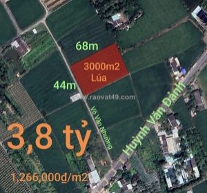 Bán đất lúa chuyển thổ xã vàm cỏ gần quốc lộ 50b giá 3,8 tỷ